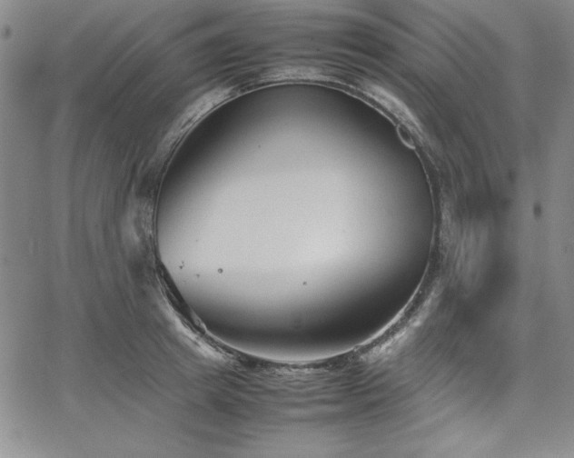 X0000067830849200604131159