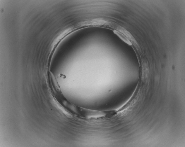 X0000067830850200604131159