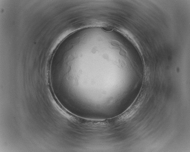 X0000067830851200604131159