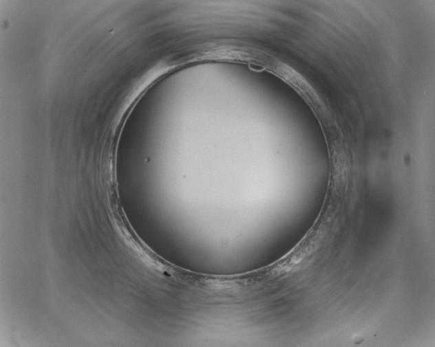 X0000067830852200604131159