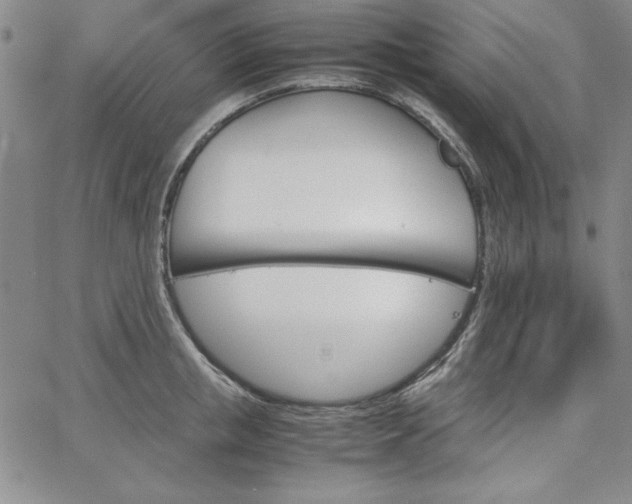 X0000067830853200604131159