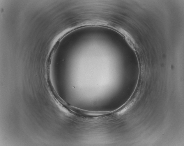 X0000067830854200604131159