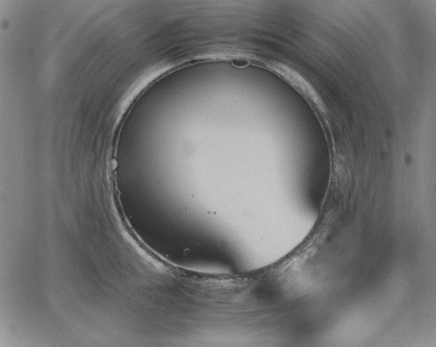 X0000067830855200604131159