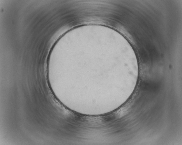 X0000067830856200604131159