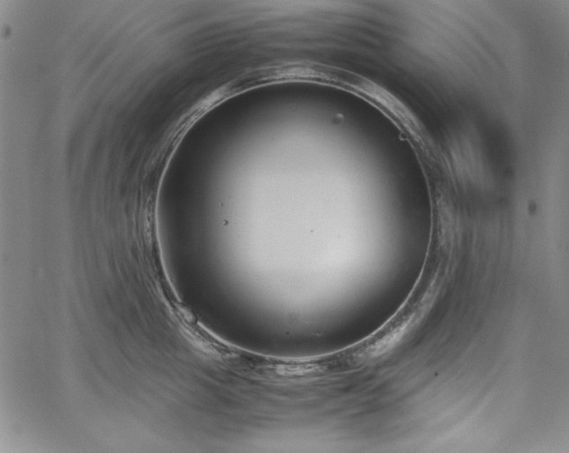 X0000067830857200604131159