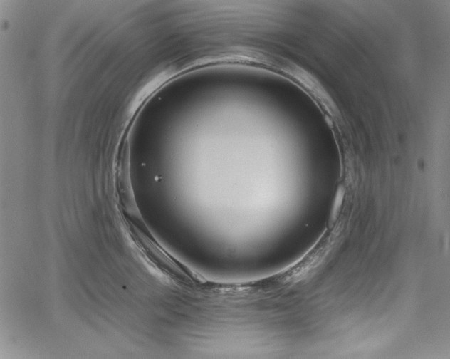 X0000067830858200604131159