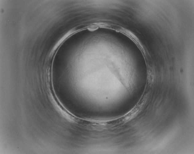 X0000067830859200604131159