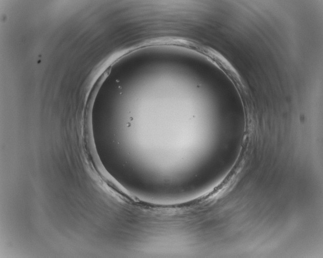 X0000067830860200604131159