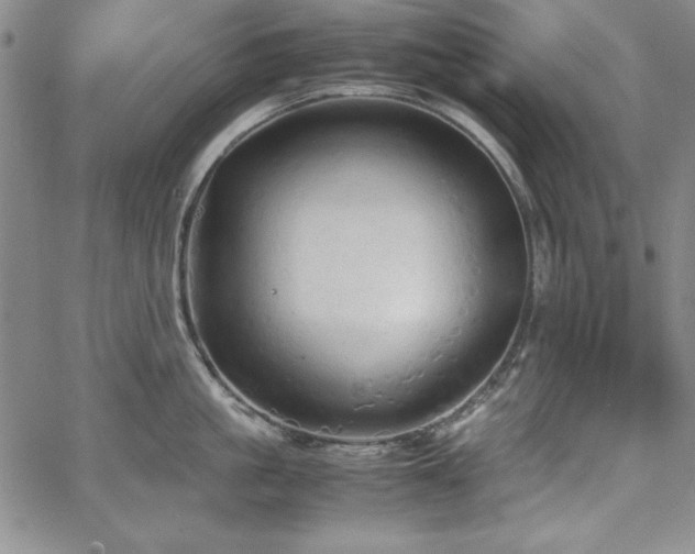 X0000067830861200604131159