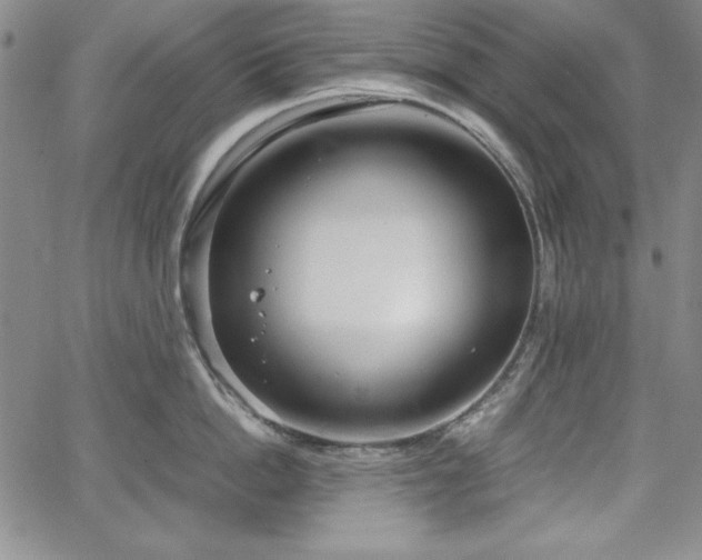 X0000067830862200604131159