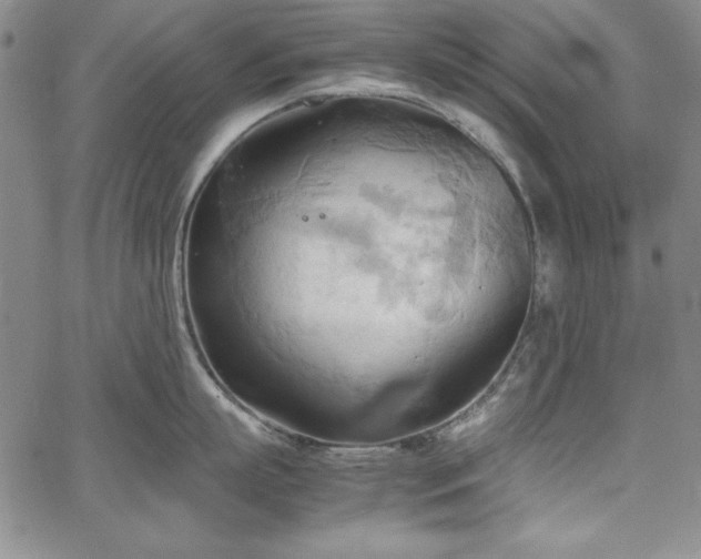 X0000067830863200604131159