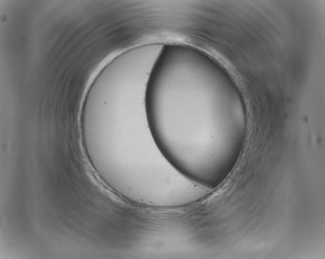 X0000067830864200604131159