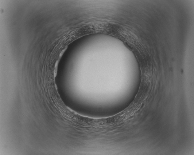 X0000067830865200604131158