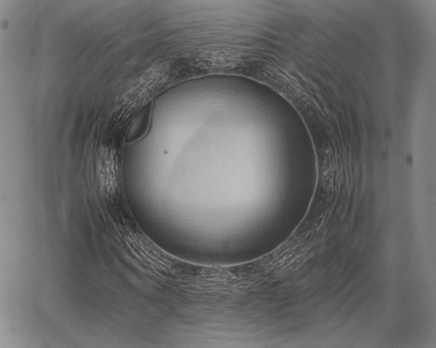 X0000067830866200604131158