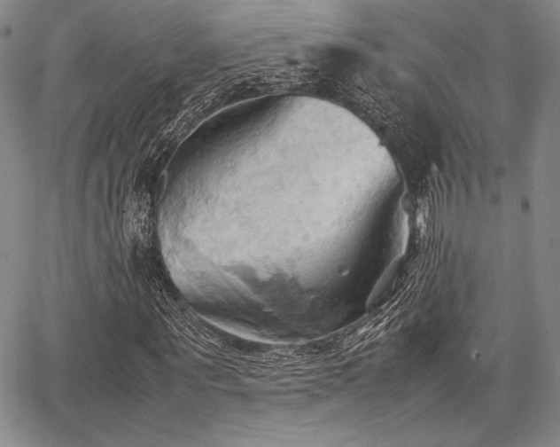 X0000067830867200604131158