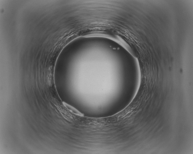 X0000067830868200604131158