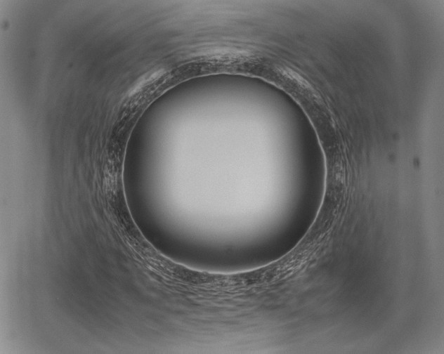 X0000067830869200604131158