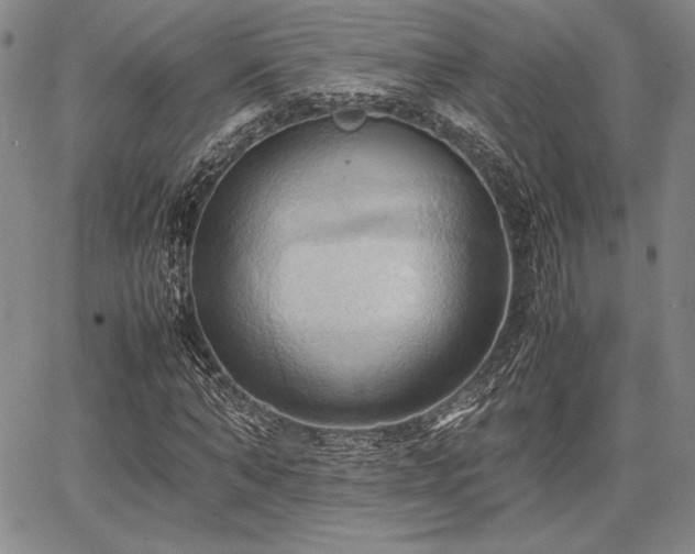 X0000067830870200604131158