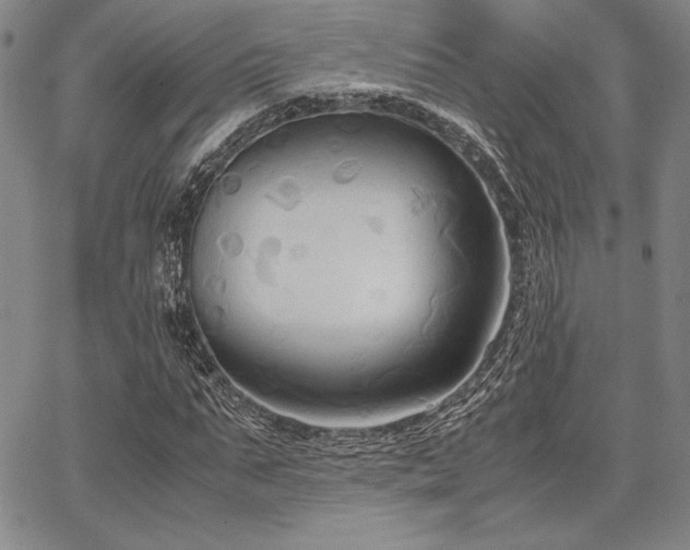 X0000067830871200604131158