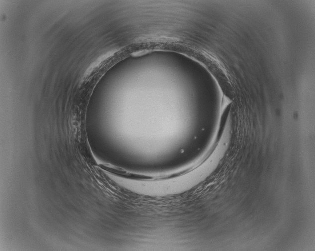 X0000067830872200604131158