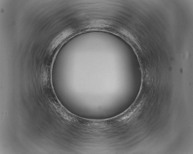 X0000067830874200604131158