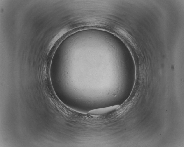 X0000067830875200604131158