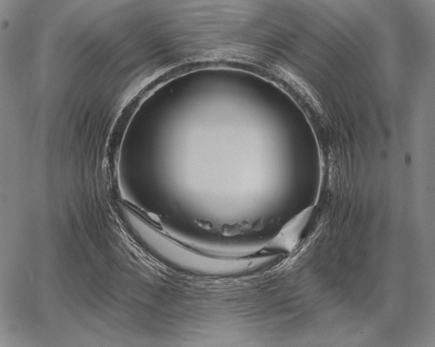 X0000067830876200604131158