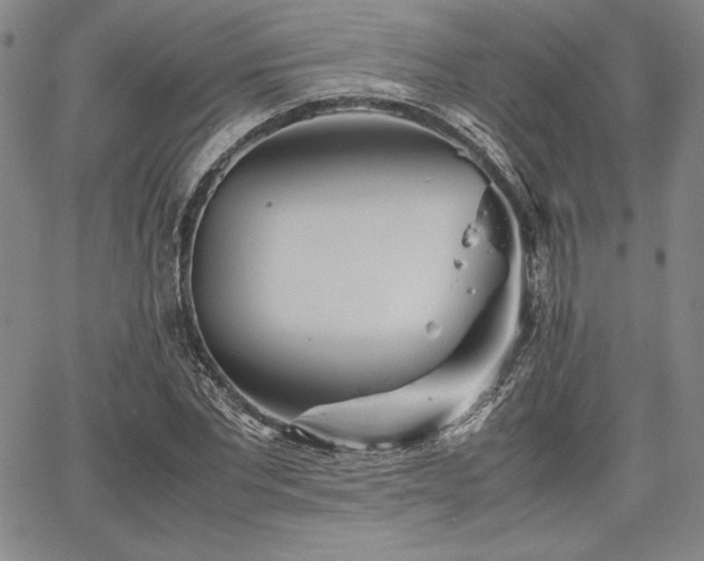 X0000067830877200604131158