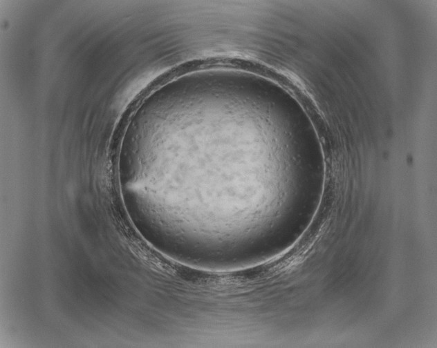 X0000067830879200604131158