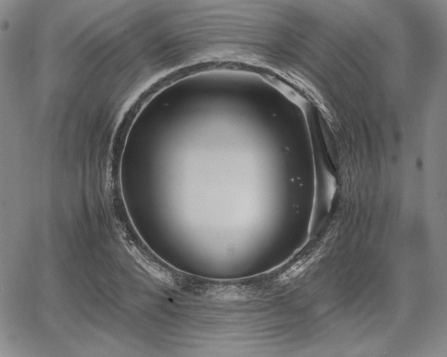 X0000067830880200604131158