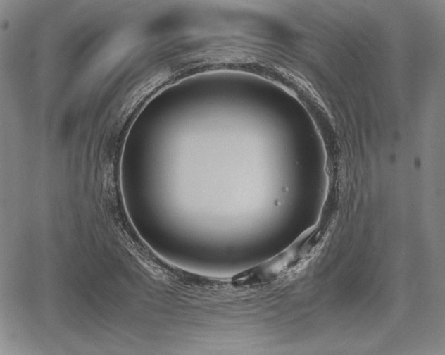 X0000067830881200604131158