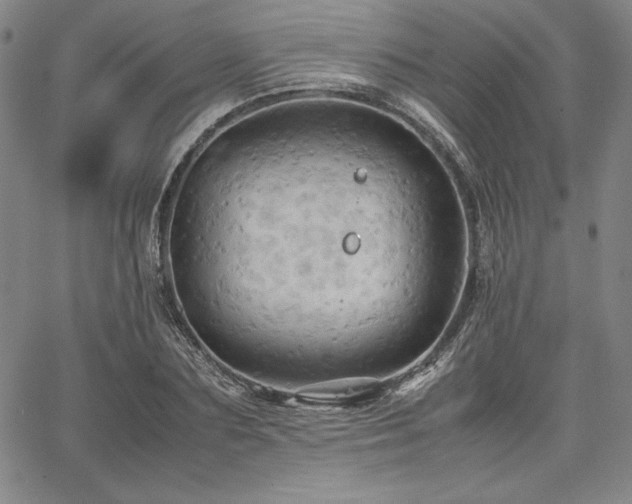 X0000067830883200604131158