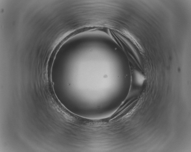 X0000067830884200604131158