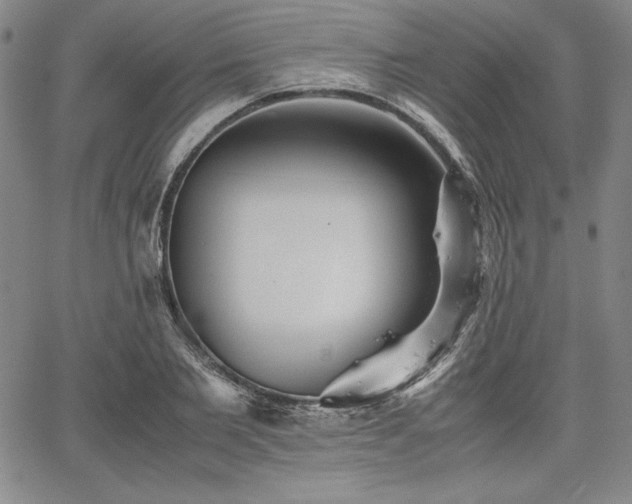 X0000067830885200604131158