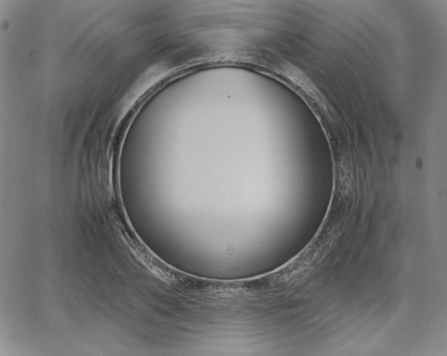 X0000067830886200604131158