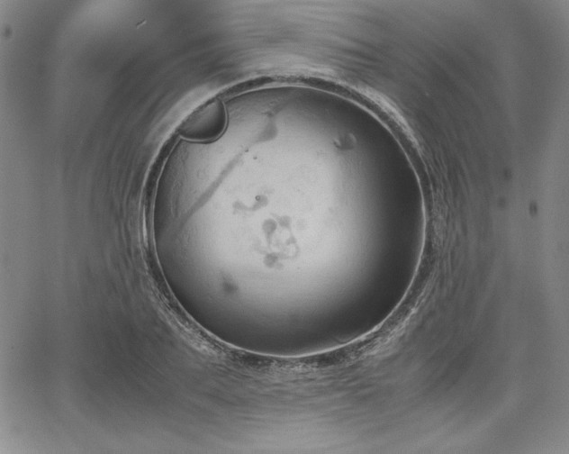 X0000067830887200604131158