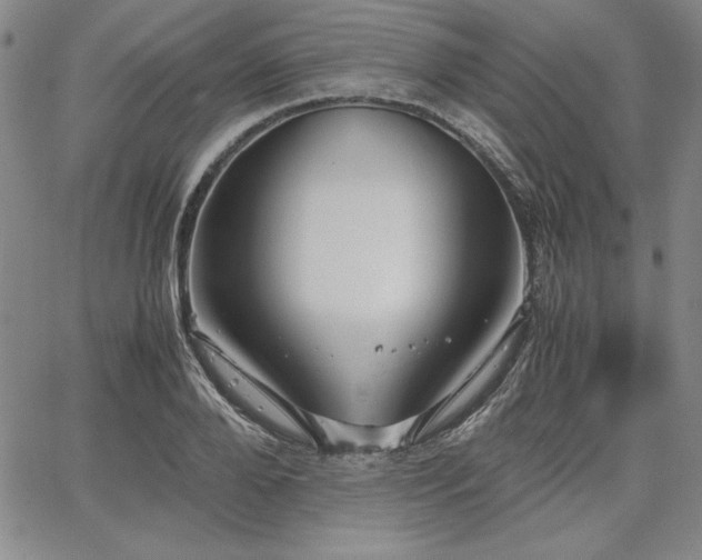 X0000067830888200604131158