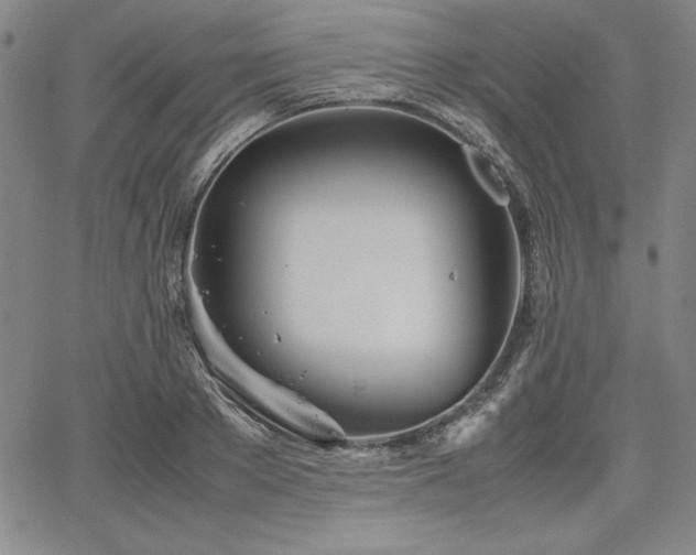 X0000067830889200604131158