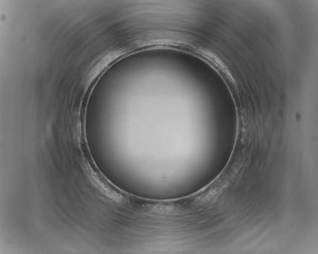 X0000067830890200604131158