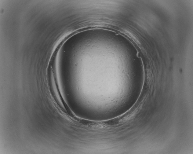 X0000067830891200604131158