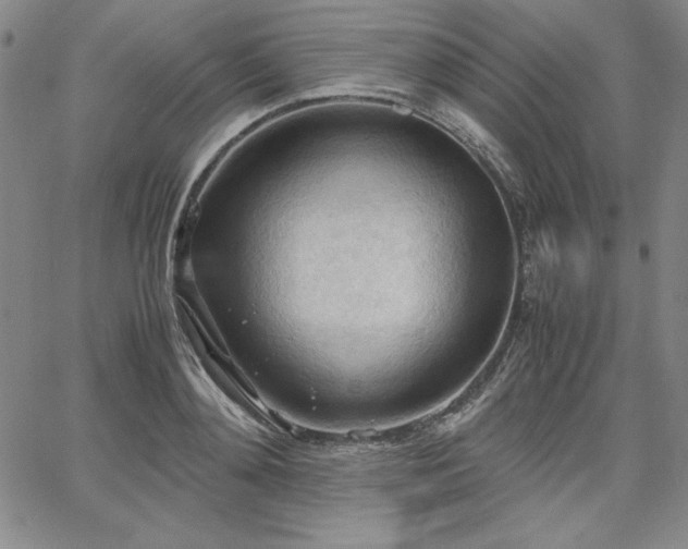 X0000067830892200604131158