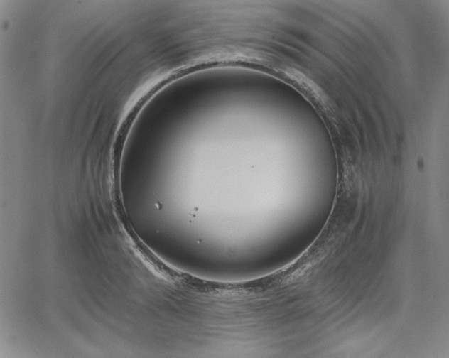 X0000067830894200604131158