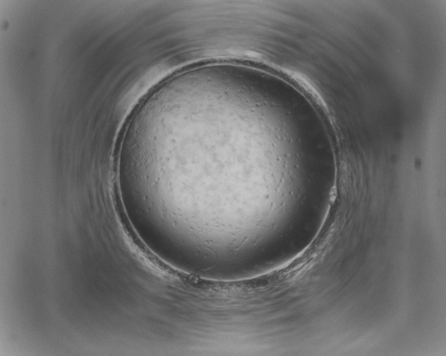 X0000067830895200604131158