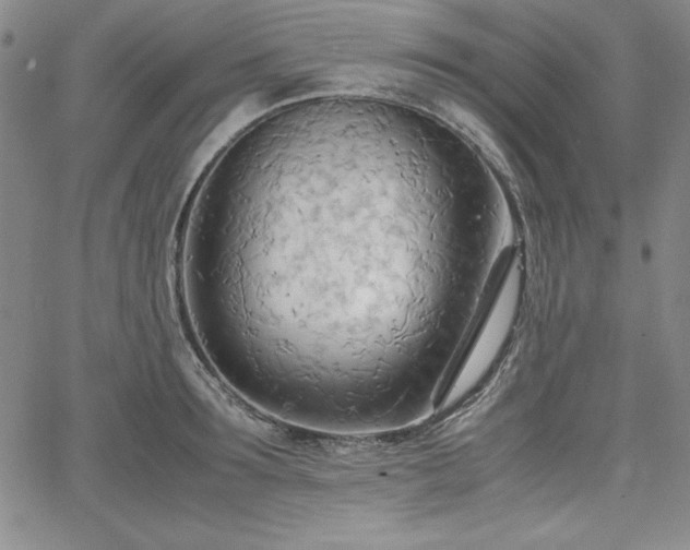 X0000067830899200604131158