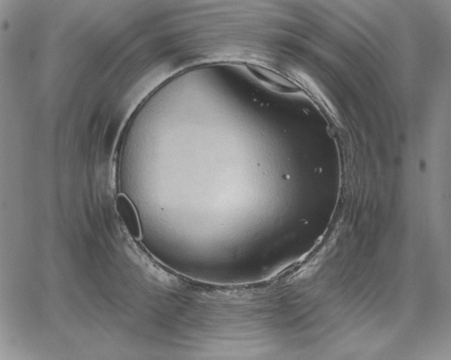 X0000067830900200604131158