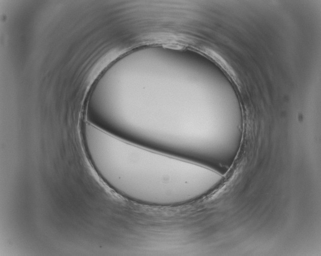 X0000067830901200604131158