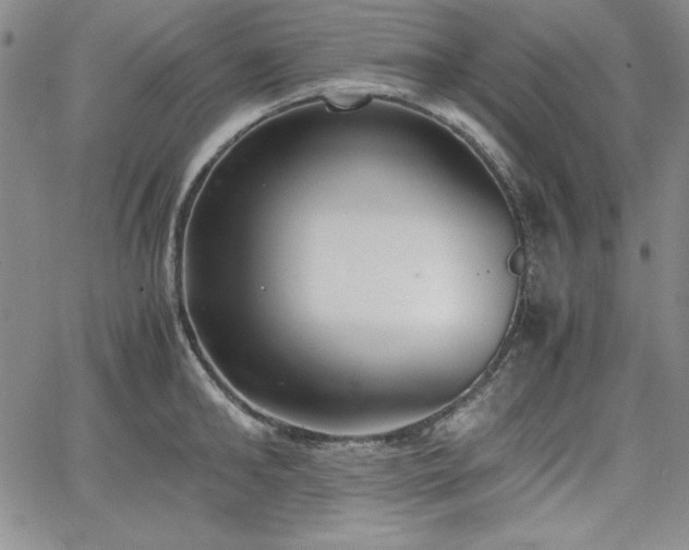 X0000067830902200604131158