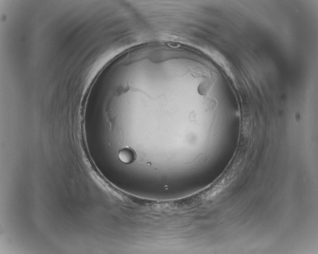 X0000067830903200604131158