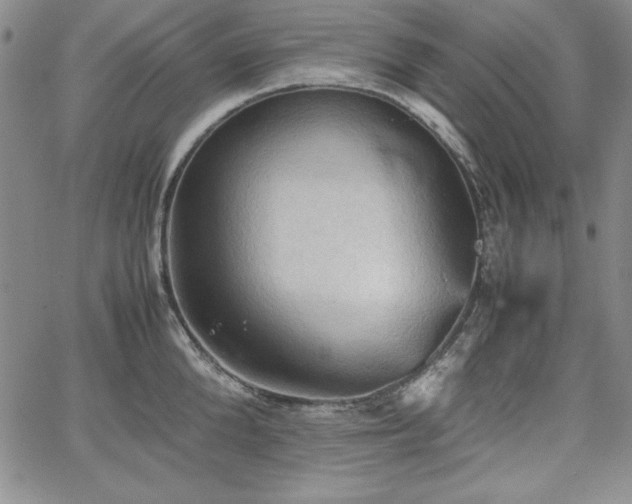 X0000067830904200604131158