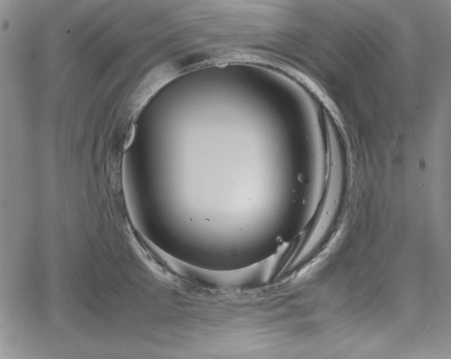 X0000067830905200604131158